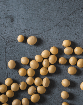 Image of soya